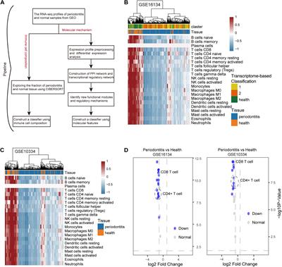 Exploring the Imbalance of Periodontitis Immune System From the Cellular to Molecular Level